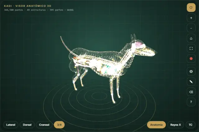 Visor anatómico 3D KADI v2.2.1: perro con los 14 sistemas activos
