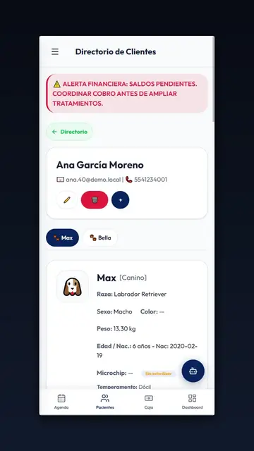 Expediente clínico móvil para consulta en piso